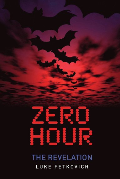bokomslag Zero Hour