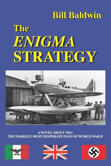 bokomslag THE Enigma Strategy