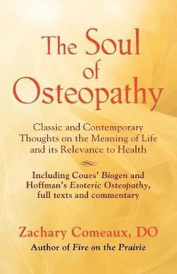 bokomslag THE Soul of Osteopathy