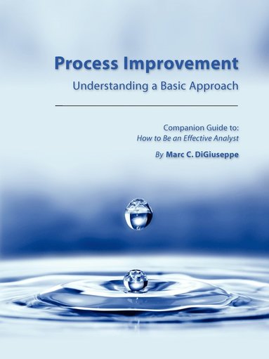 bokomslag Process Improvement