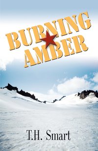 bokomslag Burning Amber