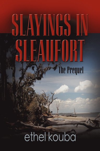 bokomslag Slayings in Sleaufort