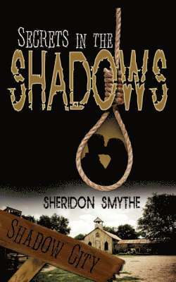 bokomslag Secrets In The Shadows