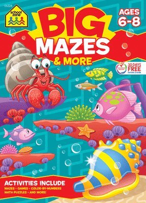 bokomslag School Zone Big Mazes & More Workbook