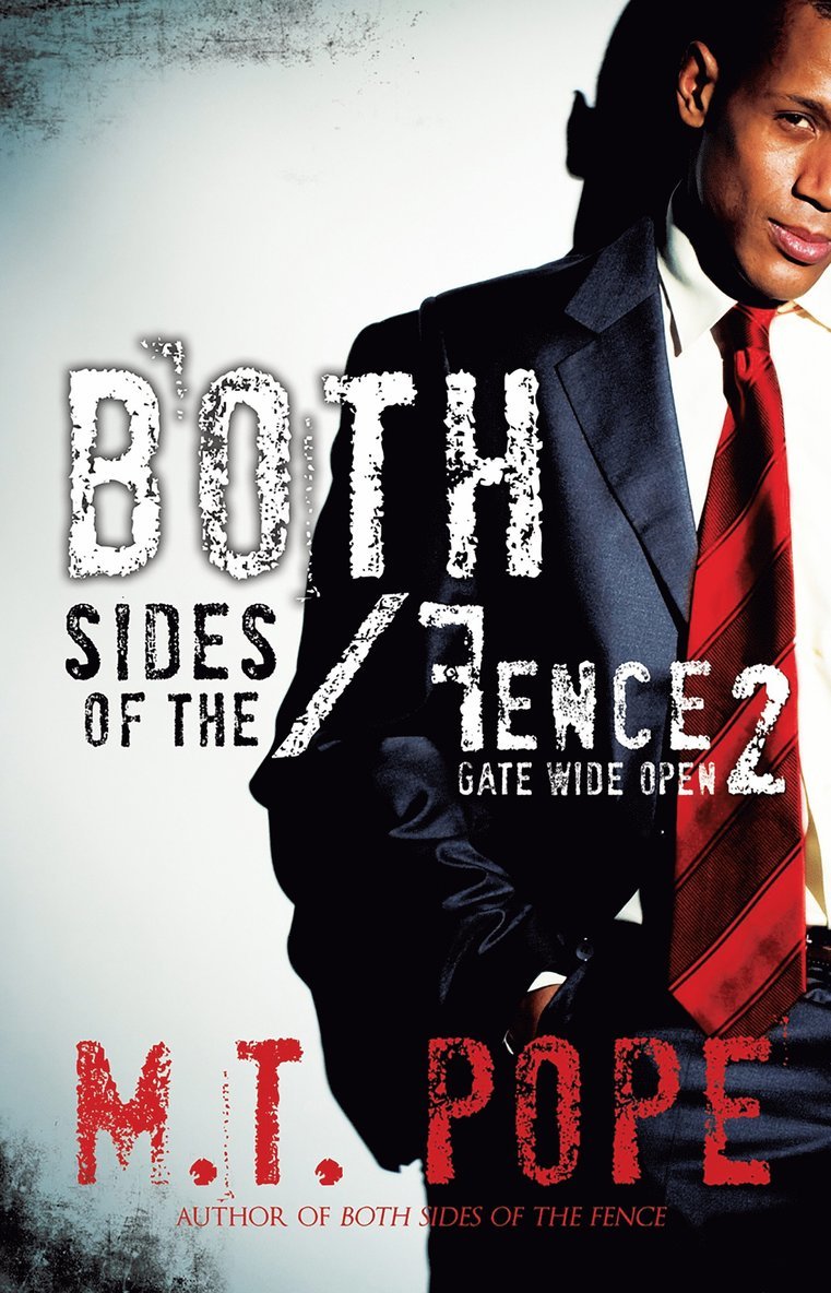 M.T. Pope - Both Sides Of The Fence 2, Häftad