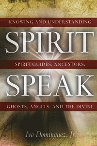 bokomslag Spirit Speak