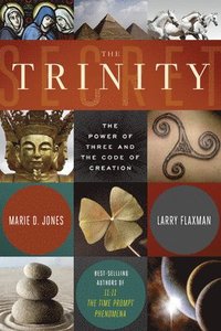 bokomslag The Trinity Secret