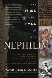 bokomslag Rise and Fall of the Nephilim