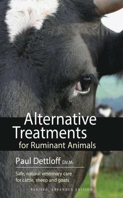 Paul Dettloff - Alternative Treatments for Ruminant Animals, Häftad