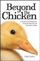 Beyond the Chicken