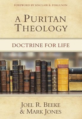 bokomslag Puritan Theology: Doctrine For Life, A