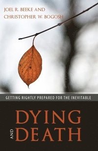 bokomslag Dying And Death