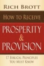 bokomslag How to Receive Prosperity & Provision: 17 Biblical Principles You Must Know