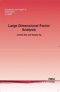 bokomslag Large Dimensional Factor Analysis