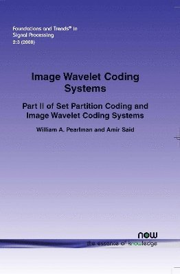 Image Wavelet Coding Systems