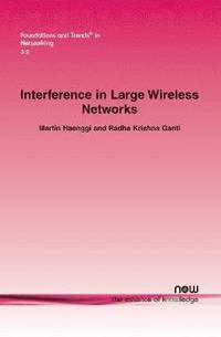 bokomslag Interference in Large Wireless Networks