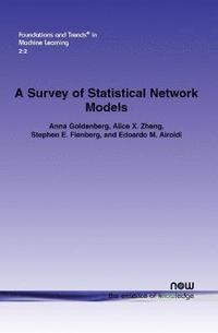 bokomslag A Survey of Statistical Network Models