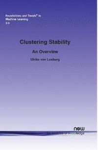 bokomslag Clustering Stability: An Overview