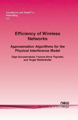 Efficiency of Wireless Networks