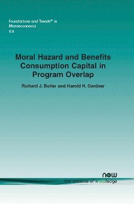 Moral Hazard and Benefits Consumption Capital in Program Overlap