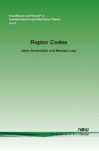 bokomslag Raptor Codes