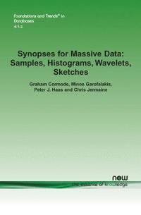 bokomslag Synopses for Massive Data