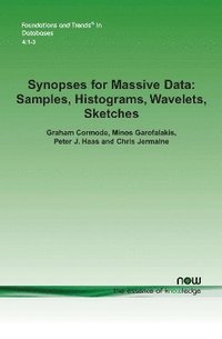 bokomslag Synopses for Massive Data