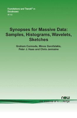 bokomslag Synopses for Massive Data