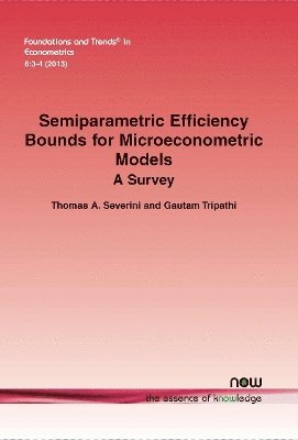 bokomslag Semiparametric Efficiency Bounds for Microeconometric Models: A Survey