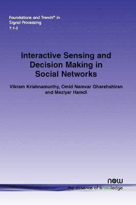 bokomslag Interactive Sensing and Decision Making in Social Networks