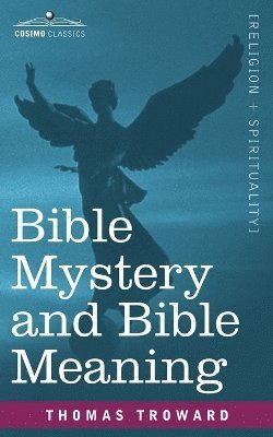 bokomslag Bible Mystery and Bible Meaning