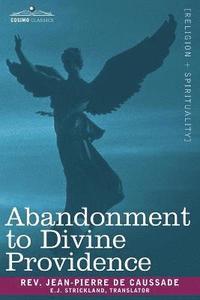 bokomslag Abandonment to Divine Providence