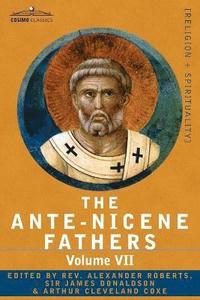 bokomslag The Ante-Nicene Fathers