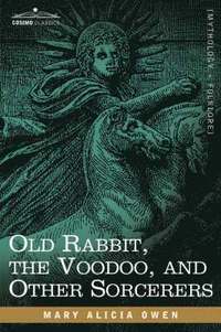 bokomslag Old Rabbit, the Voodoo, and Other Sorcerers