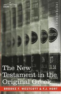 bokomslag New Testament in the Original Greek