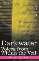 bokomslag Darkwater: Voices from Within the Veil