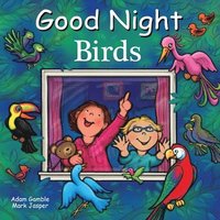 bokomslag Good Night Birds