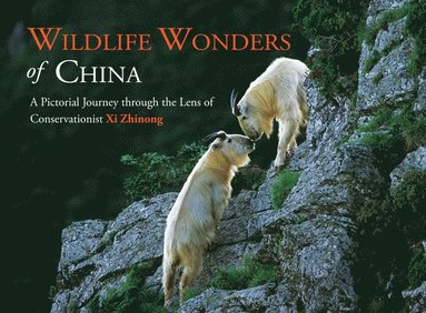 bokomslag Wildlife Wonders of China