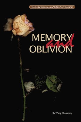 Zhousheng Wang - Memory and Oblivion, Häftad