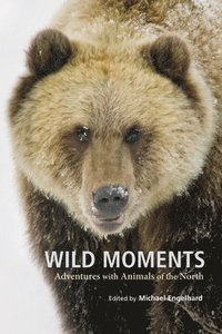 bokomslag Wild Moments