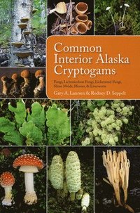 bokomslag Common Interior Alaska Cryptogams