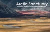 bokomslag Arctic Sanctuary