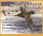 Flight of the Golden Plover 1