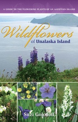 Wildflowers of Unalaska Island 1