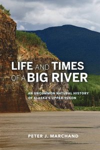 bokomslag Life and Times of a Big River