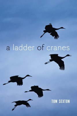 Tom Sexton - Ladder of Cranes, Häftad