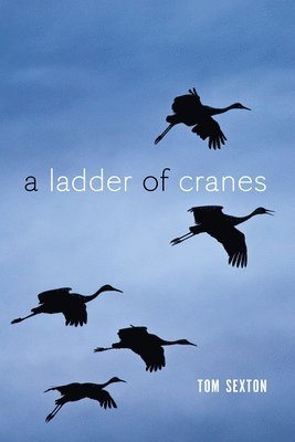 A Ladder of Cranes 1