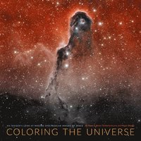 bokomslag Coloring the Universe