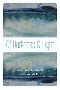 bokomslag Of Darkness and Light