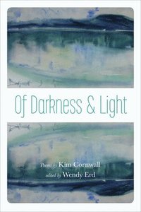 bokomslag Of Darkness and Light
